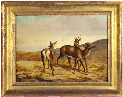 Alfred Sully (American, 1820-1879), Untitled (Deer)