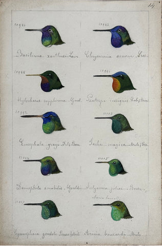 Adolphe Boucard (French, 1839-1905), Original Watercolors