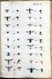 Leonard West, The Natural Trout Fly and its Imitation