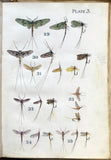 Leonard West, The Natural Trout Fly and its Imitation