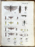 Leonard West, The Natural Trout Fly and its Imitation