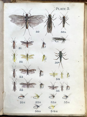 Leonard West, The Natural Trout Fly and its Imitation