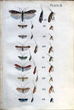 Leonard West, The Natural Trout Fly and its Imitation