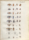 Leonard West, The Natural Trout Fly and its Imitation