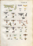 Leonard West, The Natural Trout Fly and its Imitation