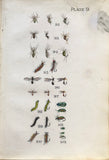 Leonard West, The Natural Trout Fly and its Imitation