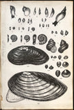 Leonard West, The Natural Trout Fly and its Imitation