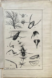 Leonard West, The Natural Trout Fly and its Imitation