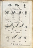 Leonard West, The Natural Trout Fly and its Imitation