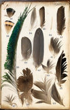 Leonard West, The Natural Trout Fly and its Imitation