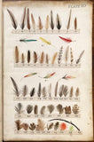 Leonard West, The Natural Trout Fly and its Imitation