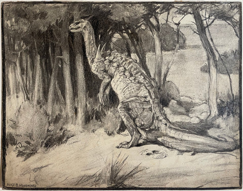 Alice B. Woodward (British, 1862-1951), Scelidosaurus From remains found in Lower Lias of Charmouth, Dorset. Length from snout to Tail-end, about 12 feet