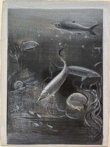 Charles Whymper (1853-1941), Fishes of the Jurassic Period
