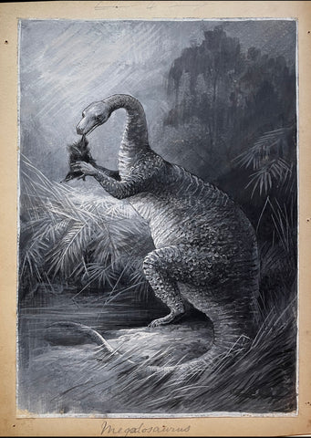 Charles Whymper (1853-1941), Megalosaurus