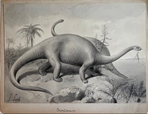 Joseph Smit (1836-1929), Brontosaurus / (Remains found in Jurassic Strata of Wyoming, U.S.A)