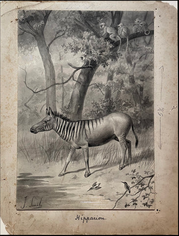 Joseph Smit (1836-1929), Hipparion