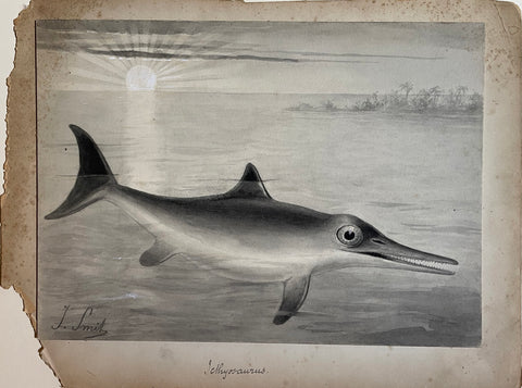 Joseph Smit (1836-1929), A Triassic Icthyosaur