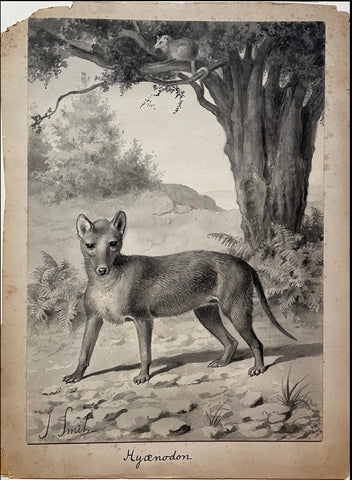 Joseph Smit (1836-1929), Hyaenodon