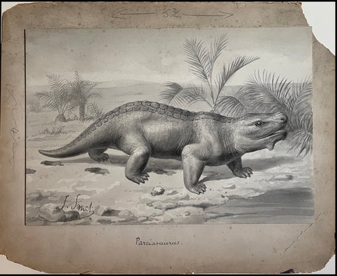 Joseph Smit (1836-1929), Pareisaurus