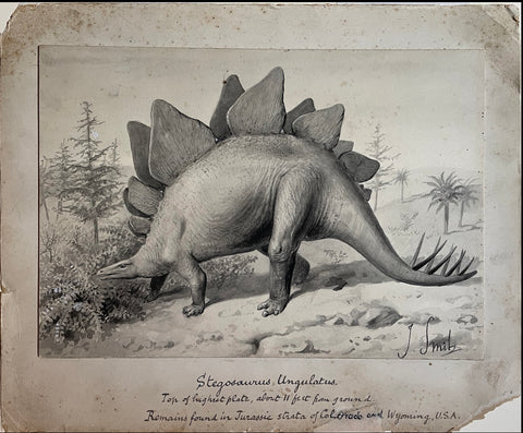 Joseph Smit (1836-1929), Stegosaurus Ungulatus