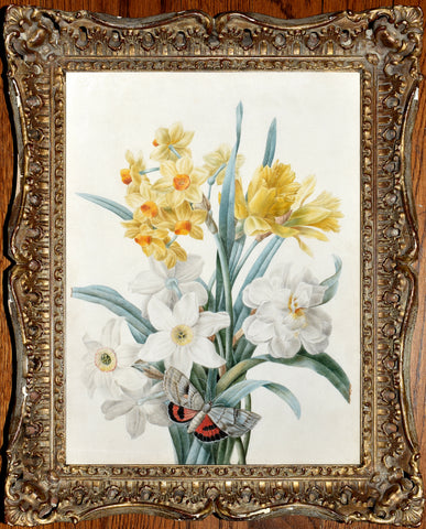Pierre-Joseph Redouté (Belgian, 1759-1840), A Bouquet of Daffodils and other flowers with a Butterfly on the Stem