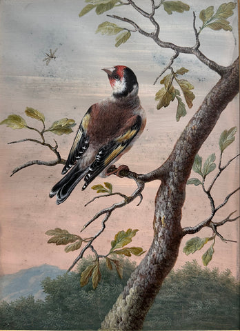 Christoph Ludwig Agricola (German 1667-1719), Goldfinch