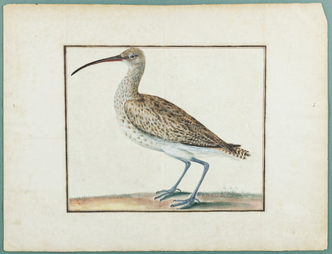 ENGLISH SCHOOL (18th CENTURY), Bittern