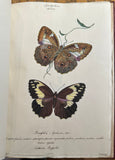 WILLIAM GOODALL (BRITISH, 1757-1844) Album of Watercolor Drawings of Butterflies