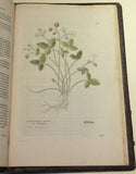 Leonhard Fuchs (1501-1566), De historia stirpium commentarii insignes...