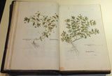 Leonhard Fuchs (1501-1566), De historia stirpium commentarii insignes...
