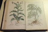 Leonhard Fuchs (1501-1566), De historia stirpium commentarii insignes...