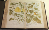 Leonhard Fuchs (1501-1566), De historia stirpium commentarii insignes...