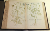 Leonhard Fuchs (1501-1566), De historia stirpium commentarii insignes...