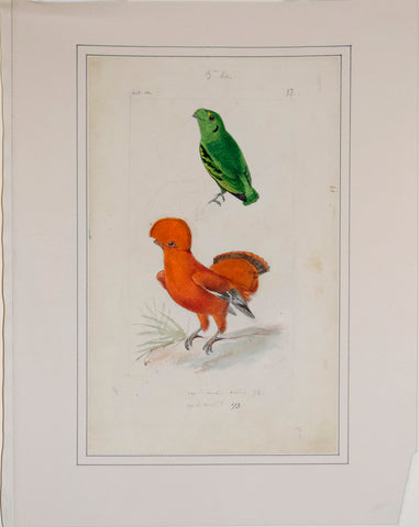 Hippolyte and Polydore Pauquet, Pl 57