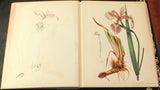 Louis Prang (1824-1909), Proof Book Chromolithographic Process Illustrated