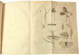 René Antoine Ferchault de Réaumur (1683-5717), Memoires pour servir a l’Histoire des Insectes