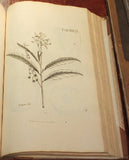 Nikolaus Joseph Freiherr von Jacquin (1727-1817), Selectarum stirpium Americanarum historia...