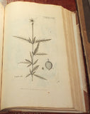 Nikolaus Joseph Freiherr von Jacquin (1727-1817), Selectarum stirpium Americanarum historia...