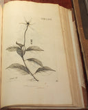 Nikolaus Joseph Freiherr von Jacquin (1727-1817), Selectarum stirpium Americanarum historia...