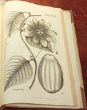 Nikolaus Joseph Freiherr von Jacquin (1727-1817), Selectarum stirpium Americanarum historia...