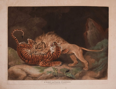 James Ward (1769-1859), A Lion and Tiger Fighting