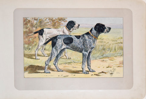 P. Mahler & J.B. Samat, Auvergne Pointer