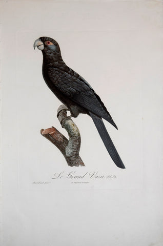 Jacques Barraband (1767-1809), Le Grand Vaza Pl 81