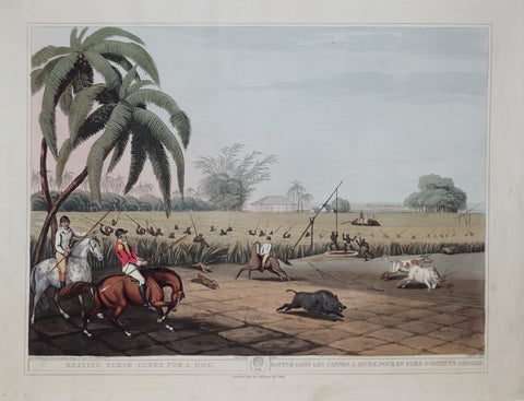 Thomas Williamson (1758-1817) and Samuel Howitt (1765-1822), Beating Sugar Canes for a Hog