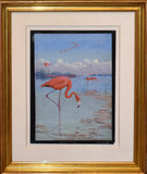 Allan Brooks  (American, 1869-1945), Flamingo Plate VIII