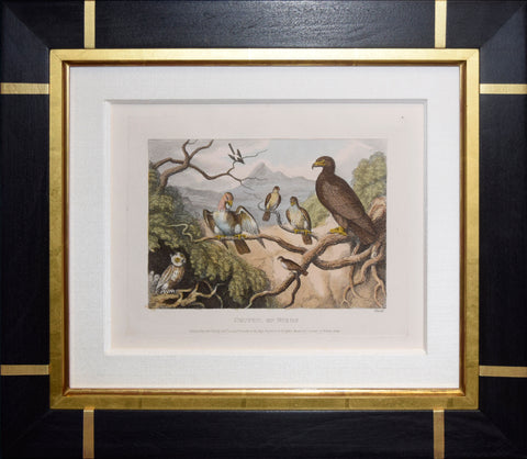 Samuel Howitt (British, 1756-1822), Council of Birds
