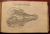 Pierre Belon (1517-1564), De aquatilibus, libri duo Cum eiconibus eiconibus ad vivam ipsorum effigiem, quoad eius fieri potuit, expressis.