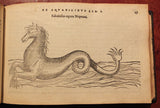 Pierre Belon (1517-1564), De aquatilibus, libri duo Cum eiconibus eiconibus ad vivam ipsorum effigiem, quoad eius fieri potuit, expressis.