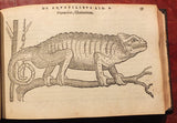 Pierre Belon (1517-1564), De aquatilibus, libri duo Cum eiconibus eiconibus ad vivam ipsorum effigiem, quoad eius fieri potuit, expressis.