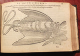 Pierre Belon (1517-1564), De aquatilibus, libri duo Cum eiconibus eiconibus ad vivam ipsorum effigiem, quoad eius fieri potuit, expressis.